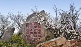 十梅庵今日爆料了吗最新消息,今日热点事件深度解析”