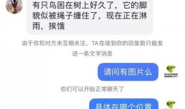 深圳女士最新爆料新闻