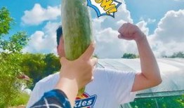 吃瓜吃到网红身上,网红们的“吃瓜”日常